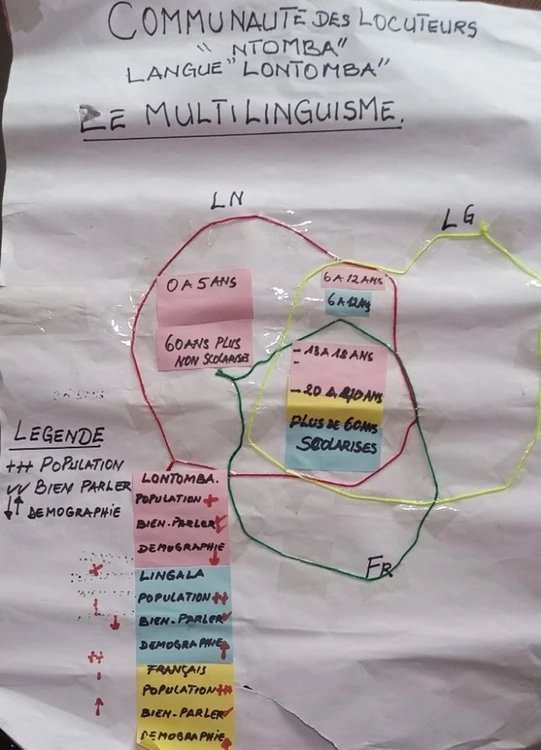 Développement de langues 